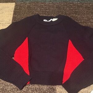 Zara Navy and Red Crew Neck Cropped Sweater small